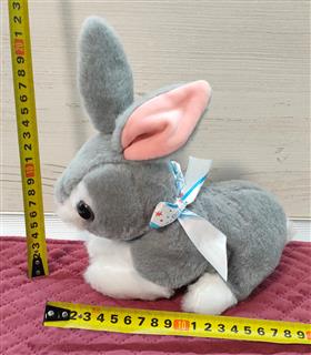 IMG20231030231139_jpg_2411360