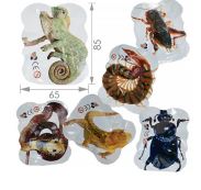 Игрушка Хлопушка БОМБОЧКИ ЗООВЗРЫВ   1*20