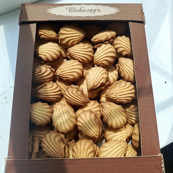 ШОКОЛАДЪ Печенье РАКУШКА   1*1,5