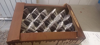 ШОКОЛАДЪ Пирожное АПЕЛЬСИН С ШОКОЛАДОМ   1*1,6