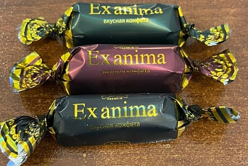 АТАГ Конфеты EX ANIMA комбинир (перекрут) (ОПТ) ТВ 1*2