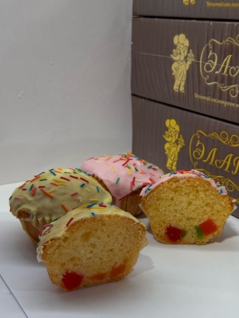 WhatsApp Image 2025-04-01 at 09.56.35